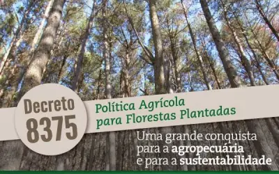 Decreto estabelece os princípios e os objetivos da Política Agrícola para Florestas
