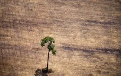 Defesa anuncia R$ 80,5 mi e novo radar contra desmate na Amazônia