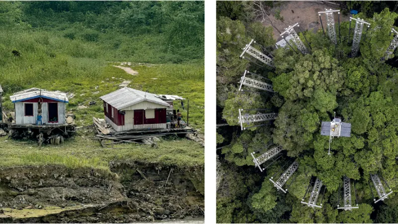 Ameaça na Base da Pirâmide: Degradação amazônica impacta diretamente a cadeia alimentar das populações vulneráveis