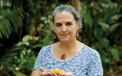 Desafios amazônicos