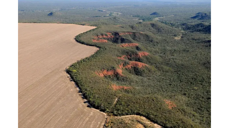 Desmatamento dispara 22% em 2022 e expõe velocidade alarmante da perda ambiental no Brasil