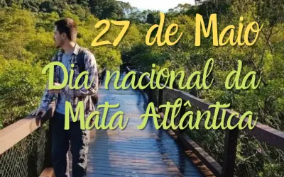 Desmatamento na Mata Atlântica cresceu 66% em um ano