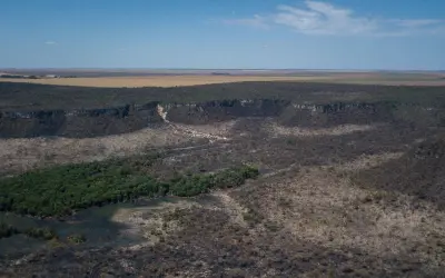Desmatamento no Brasil em 2023: Cerrado lidera e Matopiba se destaca