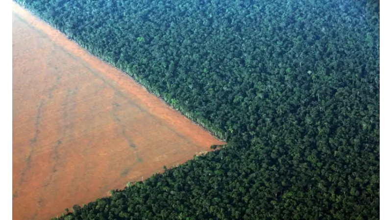 Desmatamento por mineração na Amazônia bate recorde em 2021