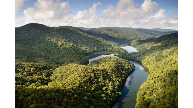 Dia Internacional das Florestas. Veja as florestas mais icônicas do mundo