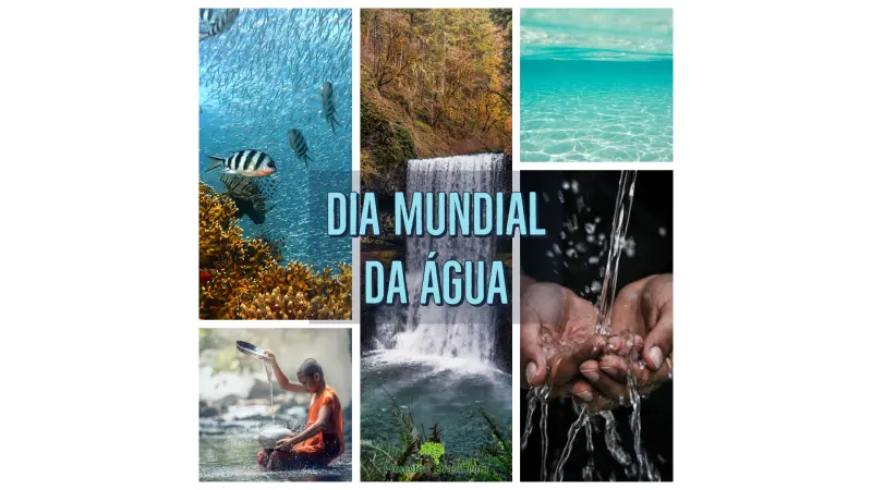 Dia mundial da Água
