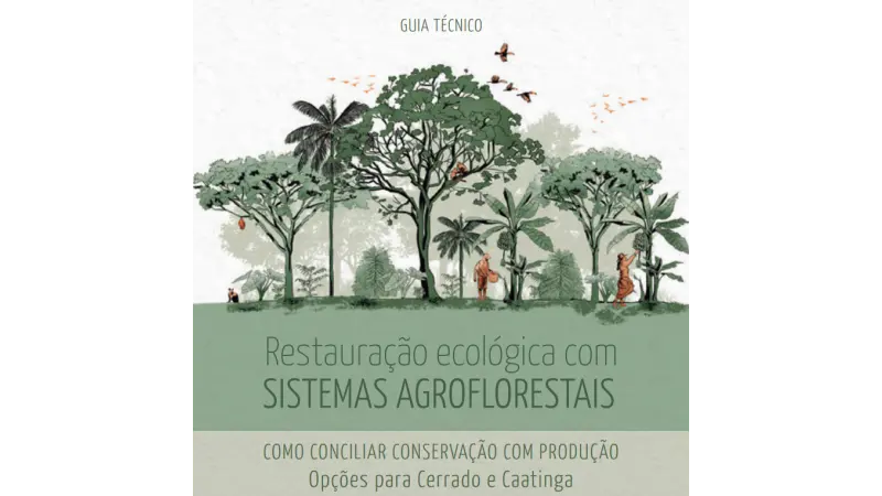[DONWLOAD] SAFs com Restauração Ecológica