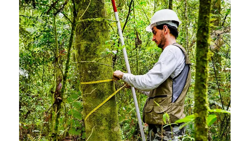[DOWNLOAD] Manual para coleta de dados em Inventário Florestal