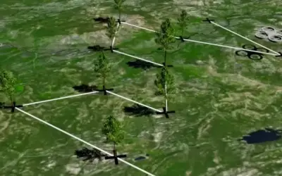 Drone inteligente é capaz de plantar 1 bilhão de árvores por ano