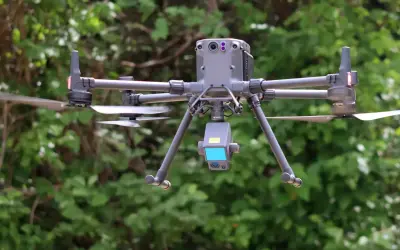 Drones ajudam com relação a captura de Carbono em florestas?