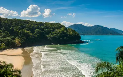 Ecologia: o que é Biota?
