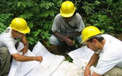 Engenheiro Florestal é o mais bem pago da área ambiental
