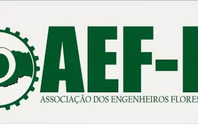 Engenheiros Florestais se unem para a criação de associação em nível de Paraíba. Evento acontece em Patos
