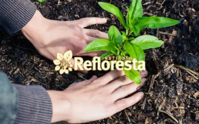 Estado de São Paulo lança o Refloresta SP e assina novo ICMS Ambiental