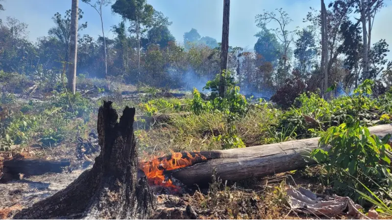 Estudo mostra que proibições emergenciais de incêndio são insuficientes