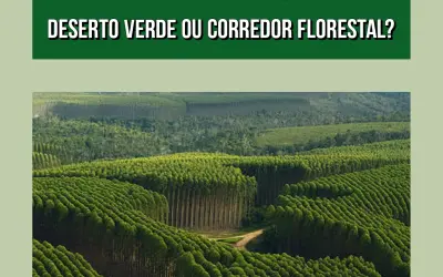 Eucalipto: deserto verde ou corredor florestal?