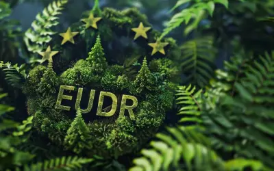 EUDR afeta países vulneráveis e traz riscos de exclusão social