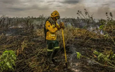 Expansão da agropecuária no Cerrado impacta a intensidade de incêndios no Pantanal