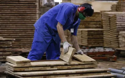 Exportação de madeira da Amazônia cai pela metade em dez anos