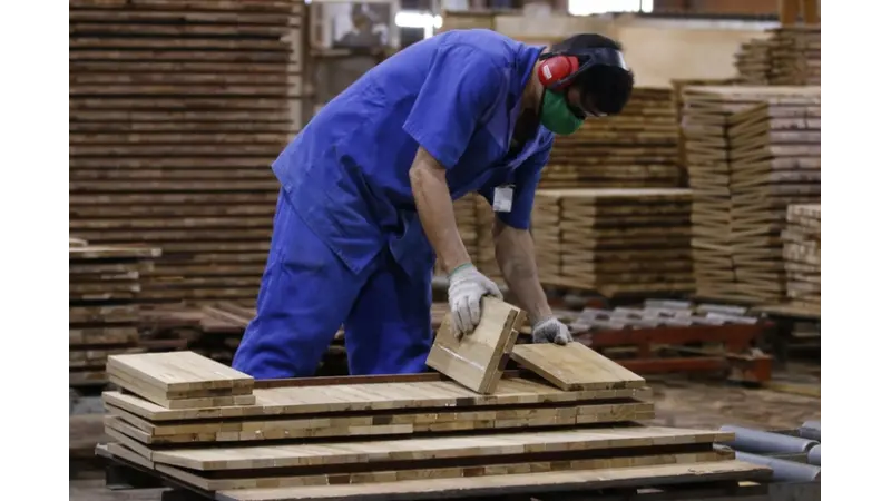 Exportação de madeira da Amazônia cai pela metade em dez anos