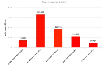 Exportações de madeira e castanha fazem AC fechar fevereiro com saldo de 1,44 milhão de dólares na balança comercial