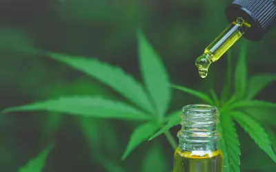 Extrato de cannabis fabricado no Brasil é aprovado pela Anvisa