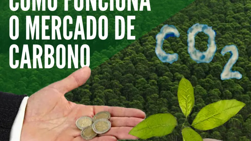 FloresCast #29 - Como funciona o mercado de carbono