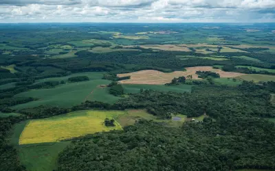 Qual protege melhor a biodiversidade: uma floresta contínua ou vários fragmentos menores?