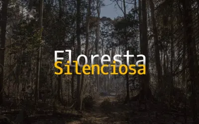 Floresta Silenciosa: plataforma alerta sobre a gravidade da degradação florestal na Amazônia