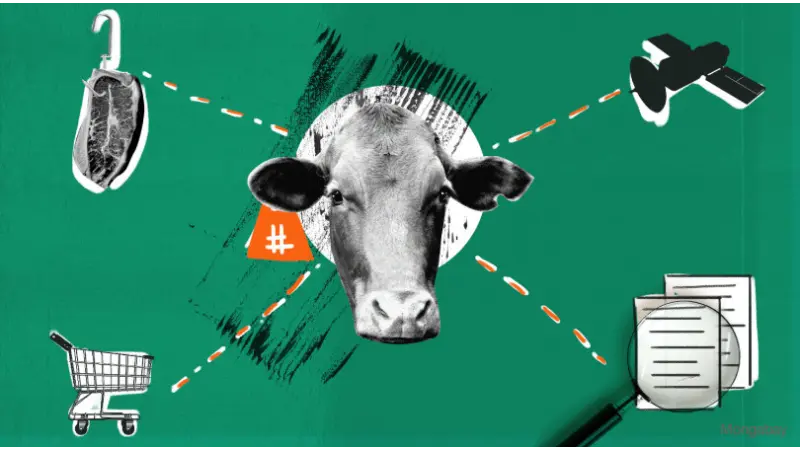 Foi realizado no MT a primeira reunião para debater a rastreabilidade bovina