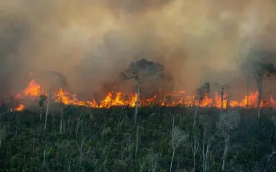 Fotos aéreas flagram queimadas na Amazônia em diversos Estados