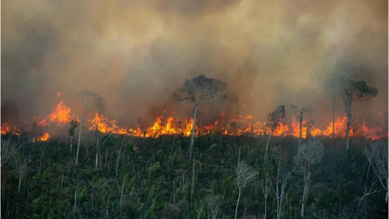 Fotos aéreas flagram queimadas na Amazônia em diversos Estados