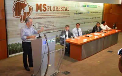 Governo do MS anuncia pacote de ações para setor florestal