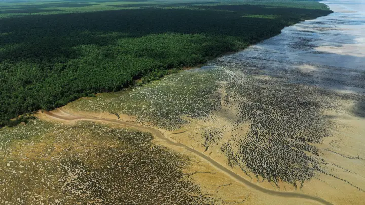 Da promessa à contradição: o governo Lula e a nova "boiada" na Foz do Amazonas