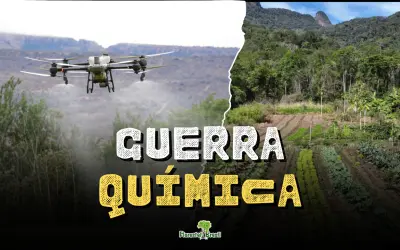Guerra Química no Maranhão: o uso de agrotóxicos como arma de expulsão no MATOPIBA