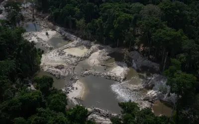 A Herança Tóxica do Garimpo: Mercúrio contamina o solo da Mata Atlântica 50 anos após o fim da exploração