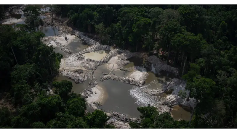 A Herança Tóxica do Garimpo: Mercúrio contamina o solo da Mata Atlântica 50 anos após o fim da exploração