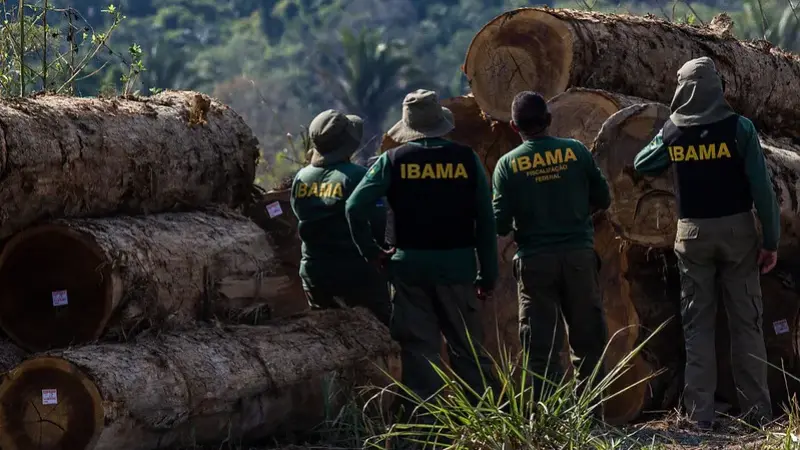 Ibama destrói 9 madeireiras clandestinas no Amazonas