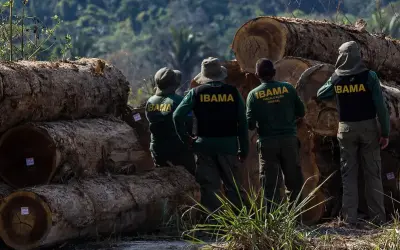 Ibama entra em greve no Pará