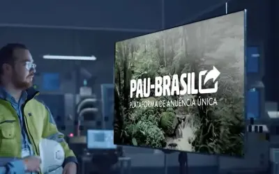 Ibama institui Plataforma Pau-Brasil e traz melhorias no controle de produtos da biodiversidade