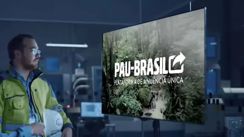 Ibama institui Plataforma Pau-Brasil e traz melhorias no controle de produtos da biodiversidade