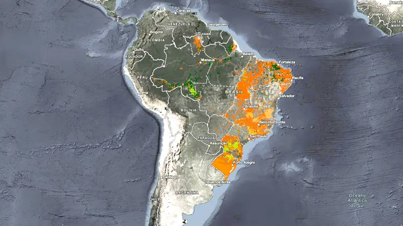 Ibama lança novo painel de exploração florestal que trás transparência e inovação no monitoramento ambiental