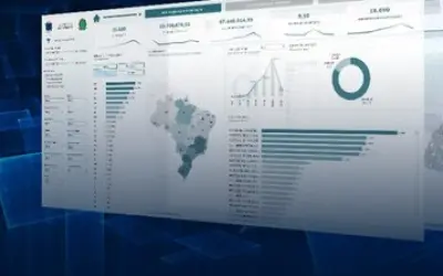 Ibama lança portal de transparência do comércio de madeira no Brasil