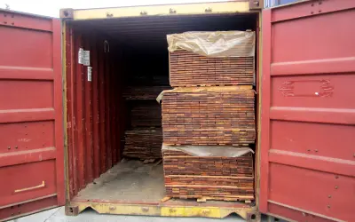 Ibama produz Nota Técnica com orientações sobre licenças para exportação de produtos madeireiros