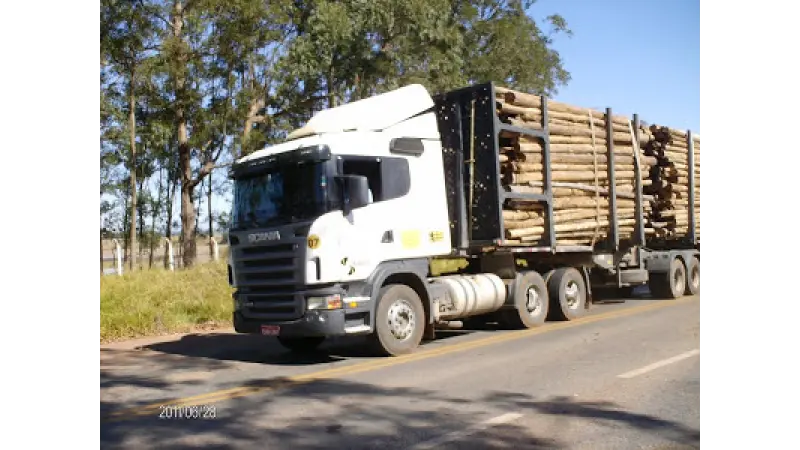 Indústria de base florestal deve levar 1 mês para se recuperar da greve