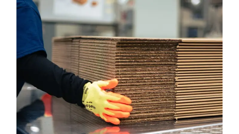 International Paper Brasil agora é Sylvamo: a empresa de papel do mundo