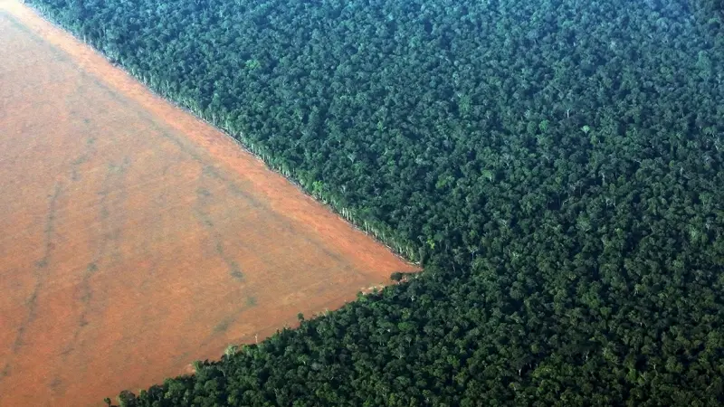 Justiça declara inconstitucional lei estadual de RO que permite compensação de reserva legal em áreas de proteção ambiental