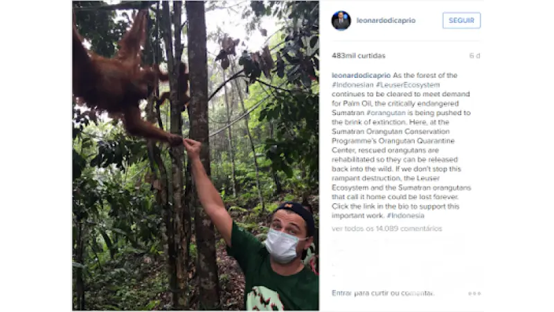 Leonardo DiCaprio é ameaçado de deportação após criticar desmatamento