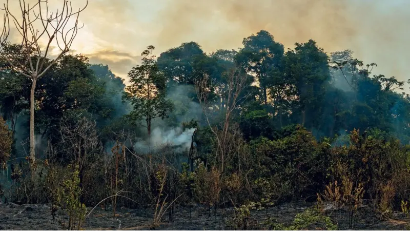 Leste da Amazônia está emitindo 10 vezes mais CO2 que o Oeste