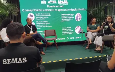 Manejo florestal é destaque em painel com participação da Aimex na COP30